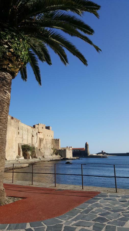 4Hc65 Appartement Avec Vue Sur La Baie Collioure Exterior photo